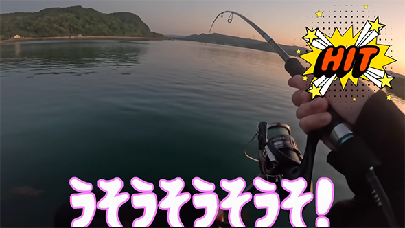 うそうそうそ