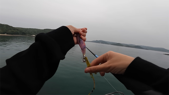 藻が釣れた