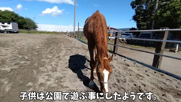 子どもと別れる馬