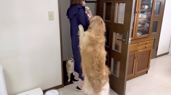 ほのちゃんに興味しんしん
