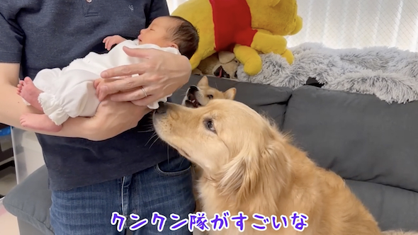 クンクン隊