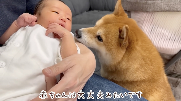 うにちゃんとほのちゃん