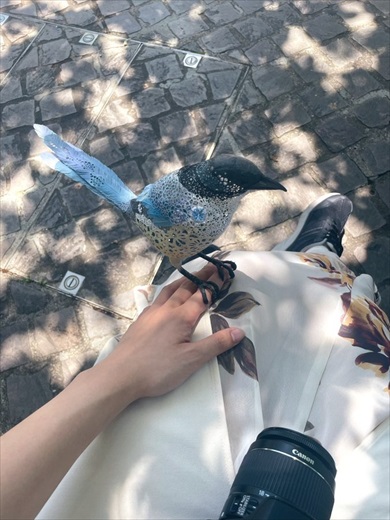 立体切り絵のオナガが美しい