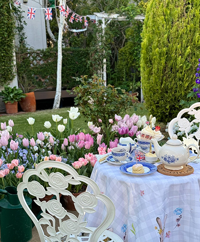 手前チューリップのティータイム