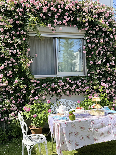 フランソワジュランビル