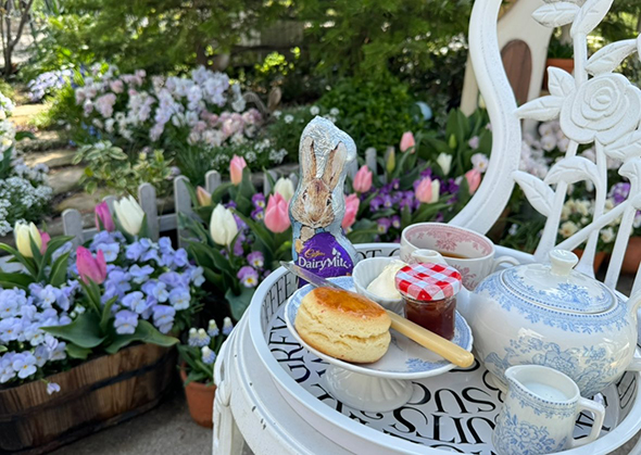 チューリップとピーターラビット