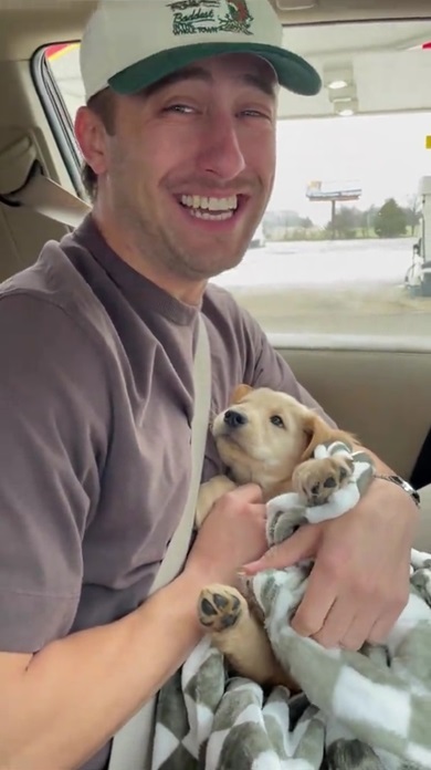 かわいいワンコ