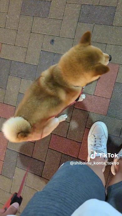 横に座ろうとするワンコ