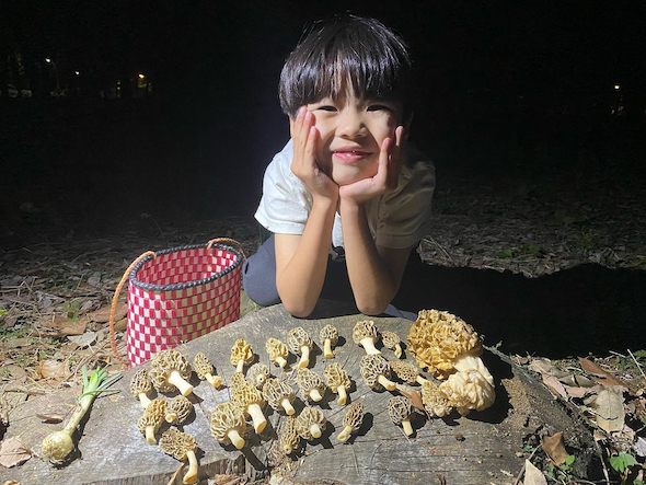 ゆづるくんのきのこ狩り