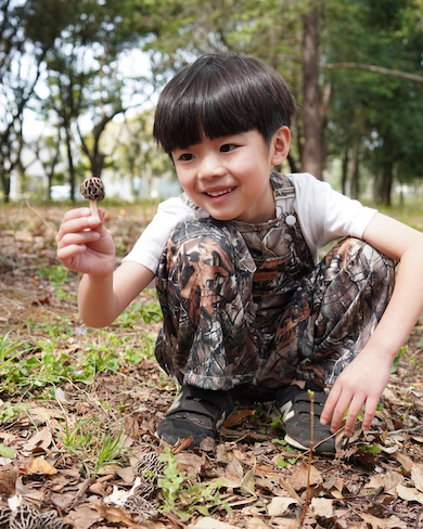 ゆづるくんのきのこ狩り