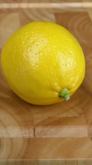 土に埋めたレモンを観察する動画