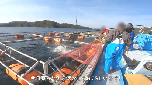 いけすへ