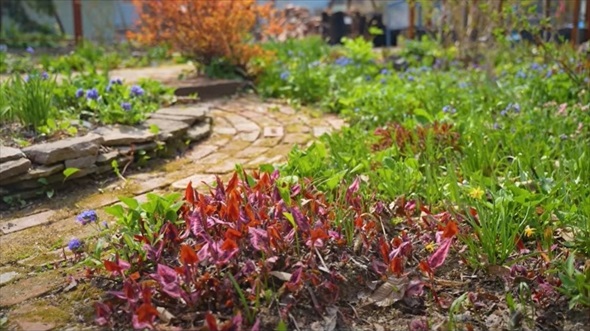 春の北国で生き生きと暮らす母と祖母に羨望の声
