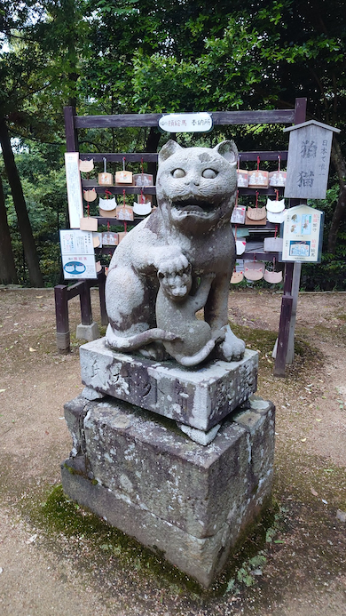木島神社の狛猫