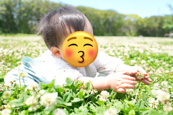 花畑にいる1歳の男の子