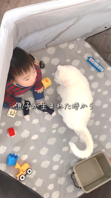 息子が生まれたときから
