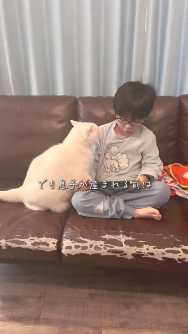 息子生まれる前は
