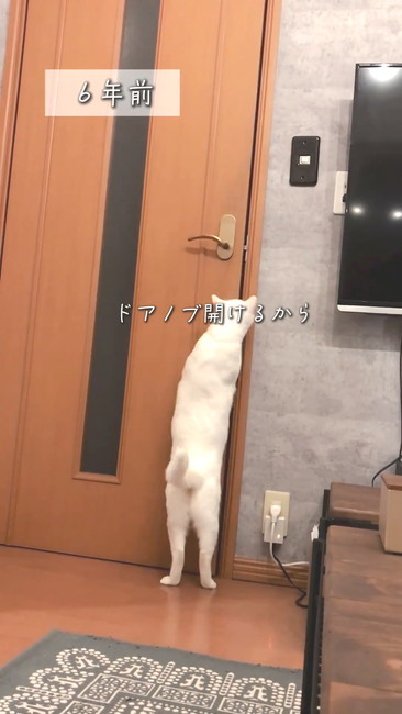 6年前