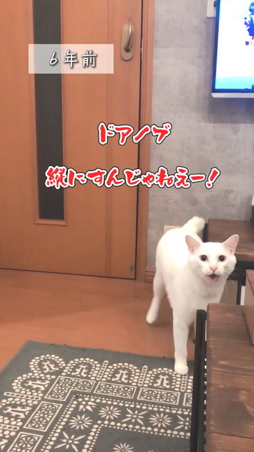 ドアノブ縦にするな