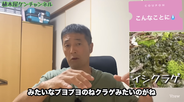 除草剤の使い方