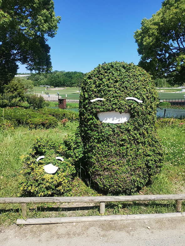 森に溶け込んでいます