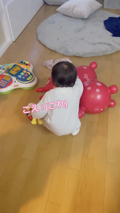兄を使ういろはちゃん