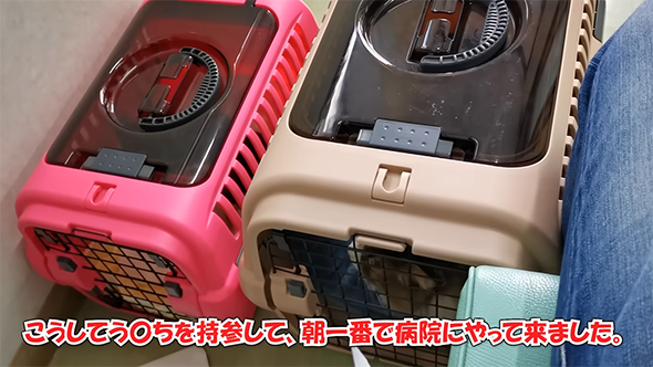 こうしてうんちを持参して