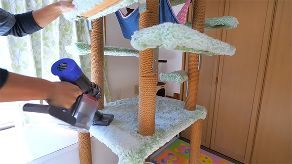 キャットタワーに掃除機をかける