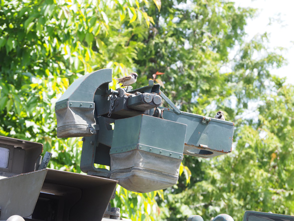 戦車 展示 元自衛隊 隊員 退役 余生 鳥の巣 平和