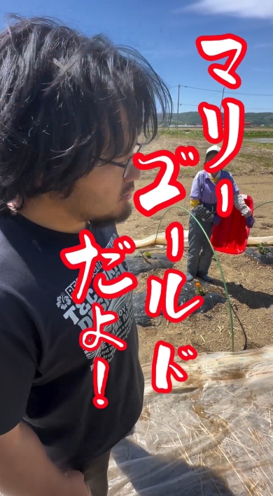 「どてら兄弟」