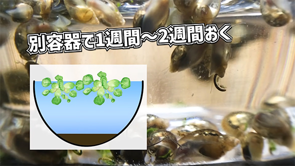 別容器