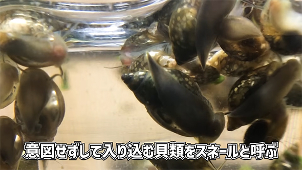 意図せずして