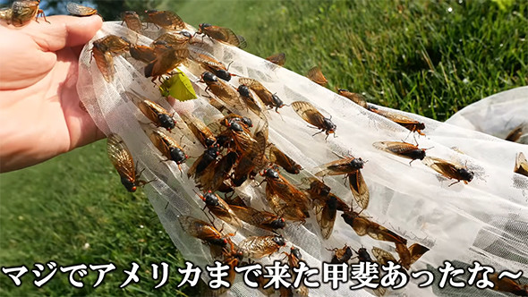 マジでアメリカまで