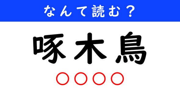 漢字クイズ　難読漢字　啄木鳥