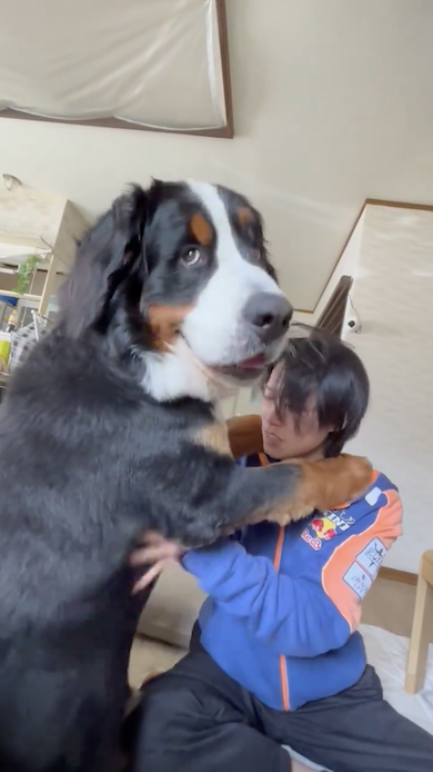 バーニー