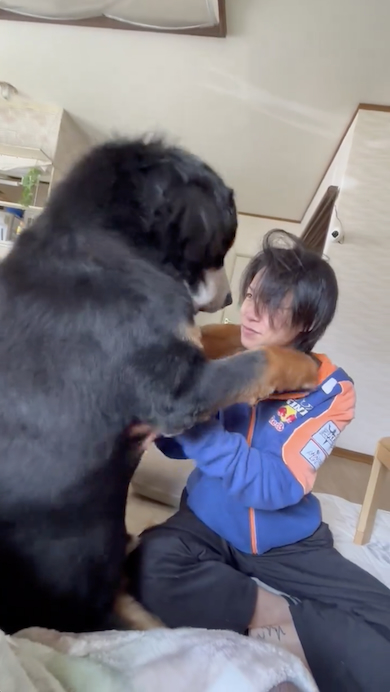 じゃれ付く八兵衛くん