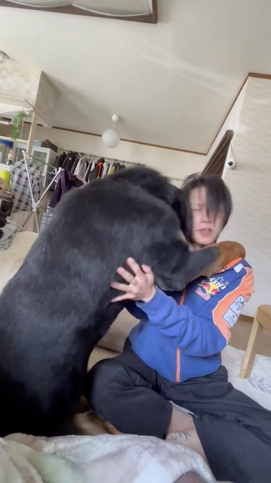 じゃれ付く八兵衛くん