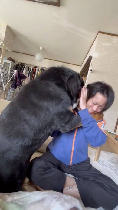 じゃれ付く八兵衛くん