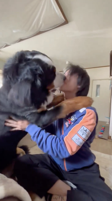 じゃれ付く八兵衛くん