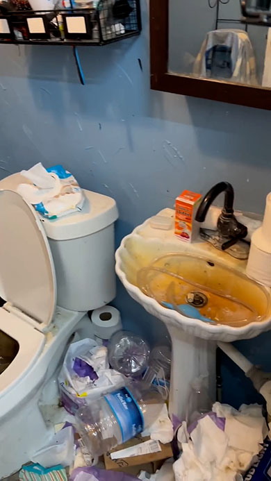 掃除の女王・汚れた洗面台