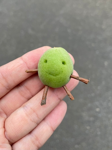 梅 柘榴 草花