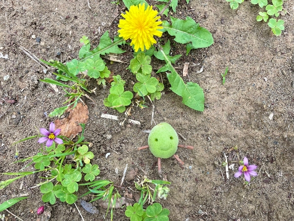 梅 柘榴 草花