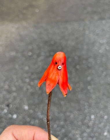 梅 柘榴 草花