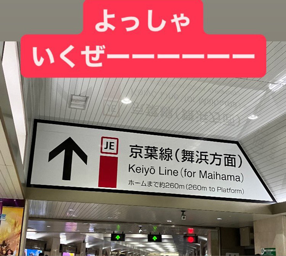 京葉線 ディズニー 行くと見せかけて 獨協大学 Instagram インスタ ストーリーズ