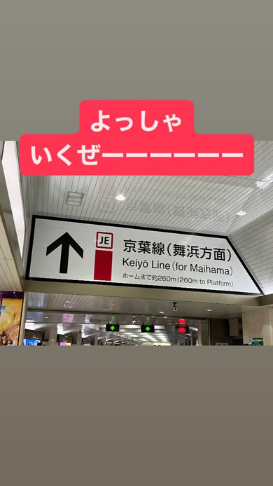 京葉線 ディズニー 行くと見せかけて 獨協大学 Instagram インスタ ストーリーズ