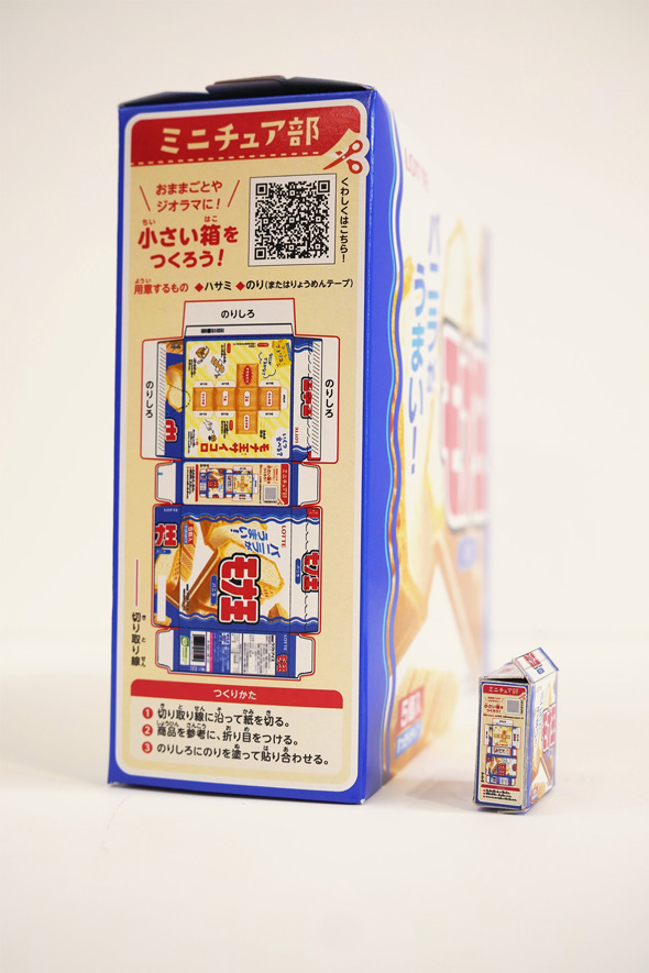 モナ王 小さいモナ王 作れる ミニチュア 小さい箱 パッケージ