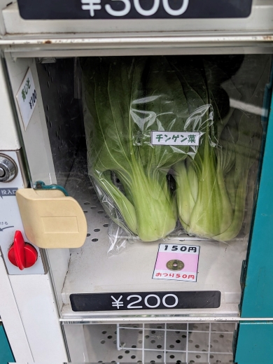 野菜自販機
