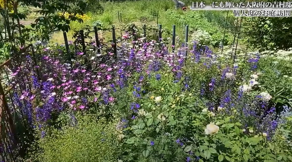 園芸コンテストで日本一に輝いた庭