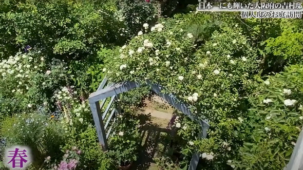 園芸コンテストで日本一に輝いた庭