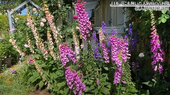 園芸コンテストで日本一に輝いた庭